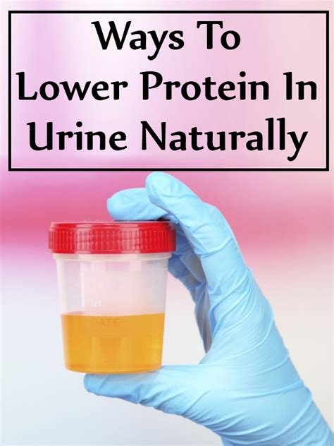 proteine ​​în urină cu prostatită și tratament